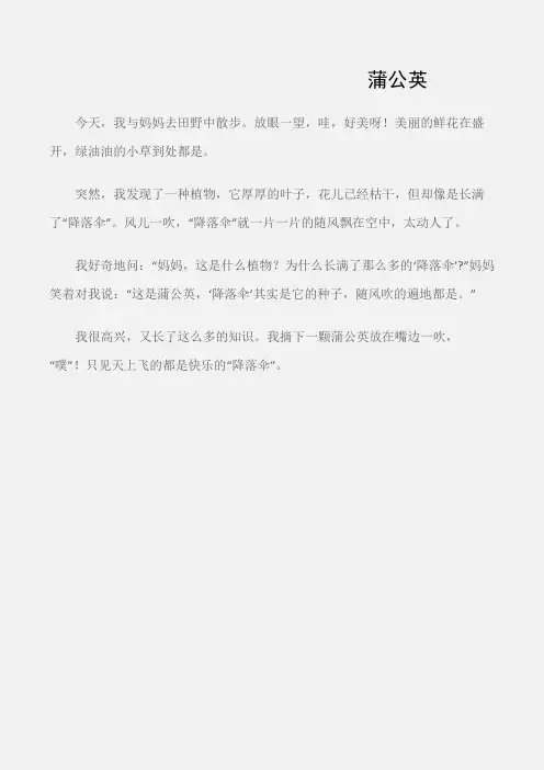 (小学一年级作文)蒲公英