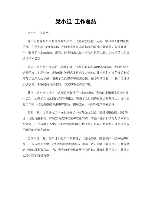 党小组 工作总结