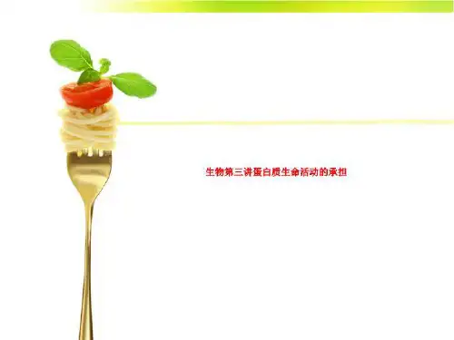 生物第三讲蛋白质生命活动的承担
