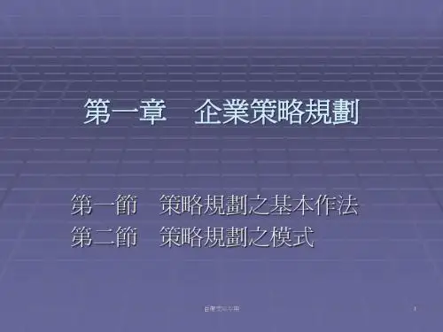 企业策略规划