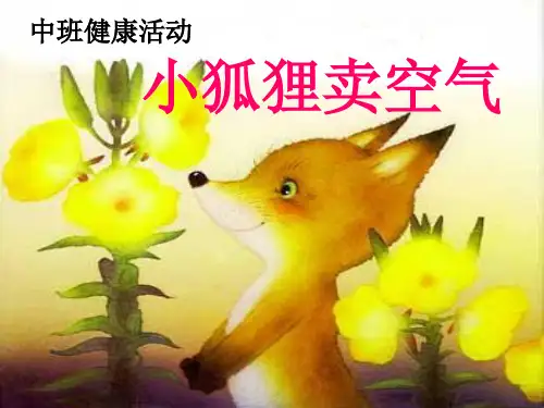 小狐狸卖空气