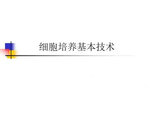 Cell+培养技术