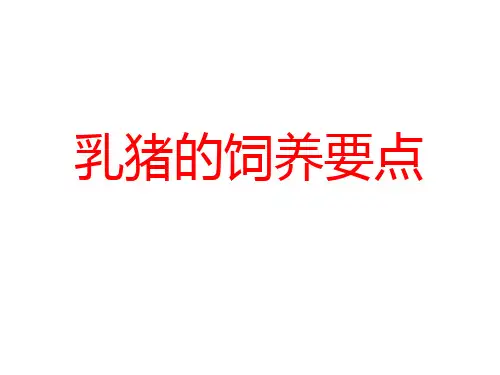 乳猪的饲养要点