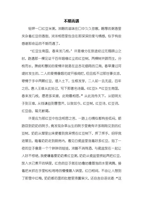 初三作文：不期而遇作文800字_14