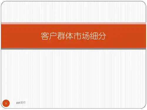 客户群体市场细分  ppt课件