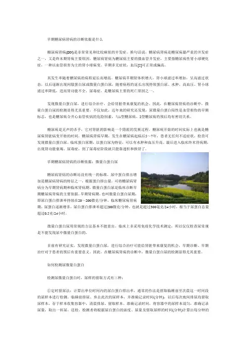 早期糖尿病肾病的诊断依据是什么