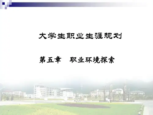 第五讲 职业环境探索(王)