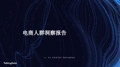 2019-电商人群洞察报告