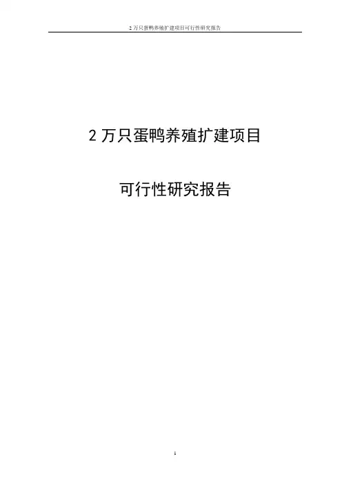 2万只蛋鸭养殖扩建项目可行性研究报告