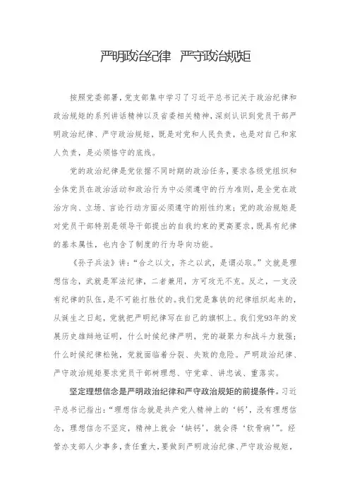 严明政治纪律 严守政治规矩