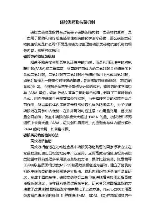 磺胺类药物抗菌机制