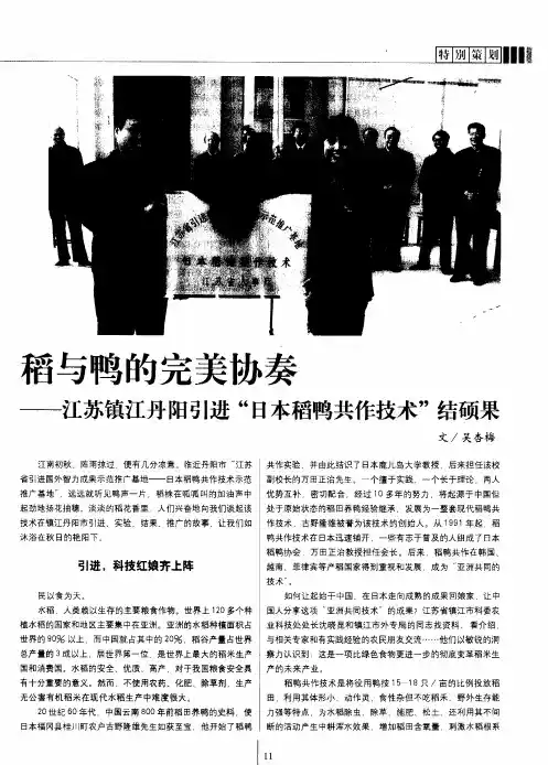 稻与鸭的完美协奏——江苏镇江丹阳引进“日本稻鸭共作技术”结硕果
