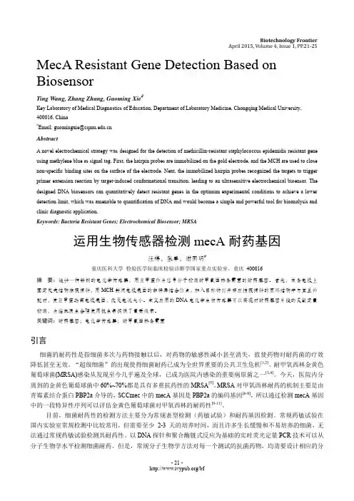 运用生物传感器检测mecA耐药基因