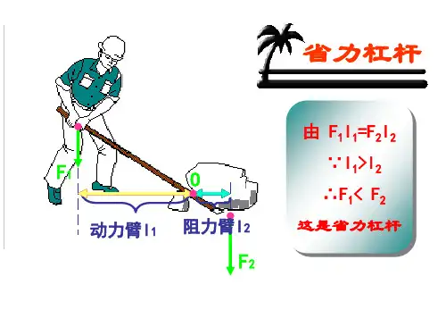 6.5 探究杠杆的平衡条件(习题课)