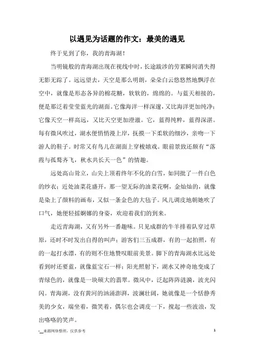 以遇见为话题的作文：最美的遇见_优秀作文