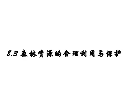 森林资源的合理利用与保护