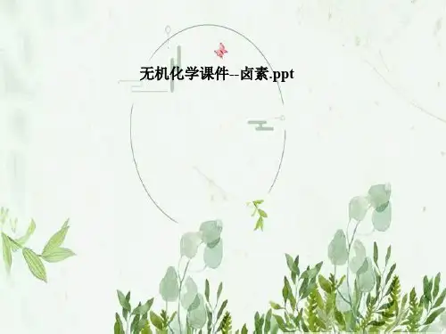 无机化学课件--卤素