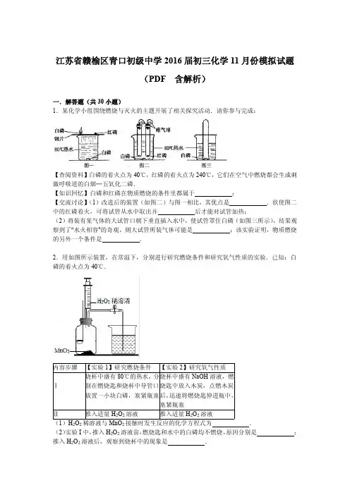 江苏省赣榆区青口初级中学届中考化学11月模拟试题pdf含解析