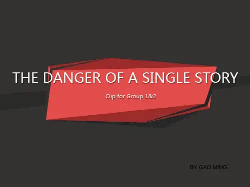 演讲【单一故事的危险性】大纲要点THE DANGER OF A SINGLE STORY