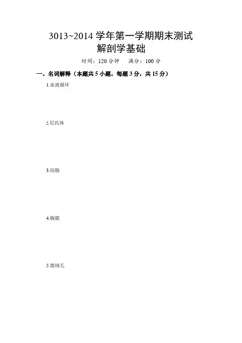 解剖学基础测试题+答案