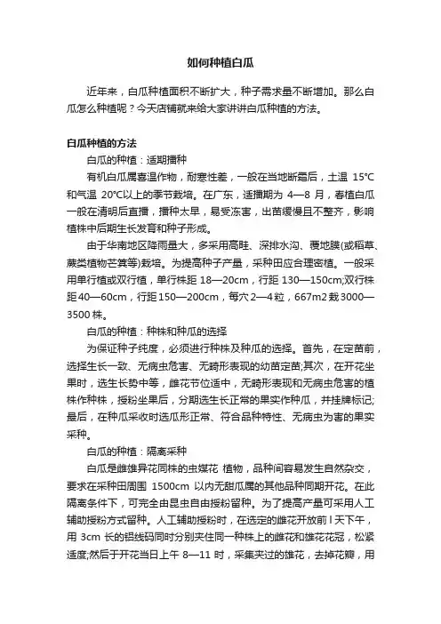 如何种植白瓜