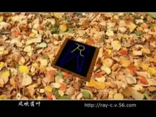 《流体压强与流速的关系》