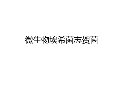 最新微生物埃希菌志贺菌说课讲解