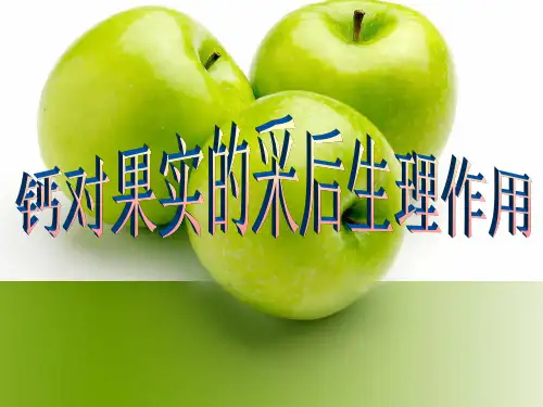 钙对果实的采后生理作用