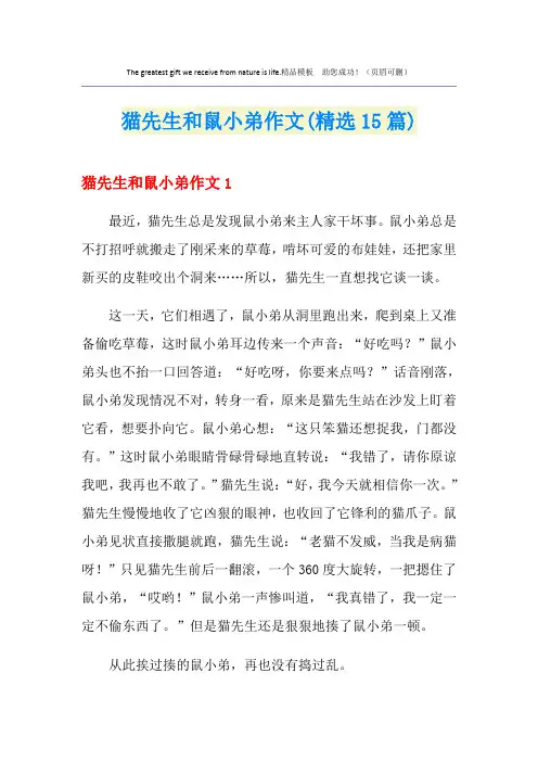 猫先生和鼠小弟作文(精选15篇)