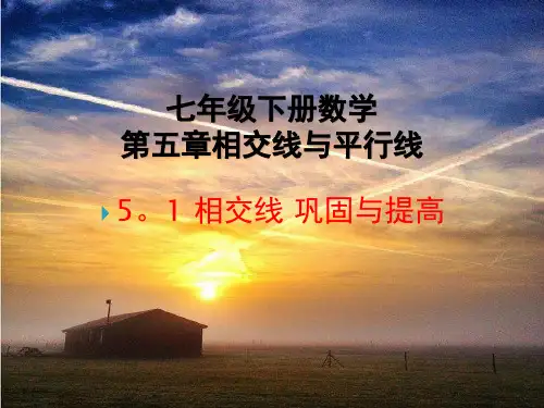 人教版七年级下册数学相交线与平行线巩固提高复习课件PPT