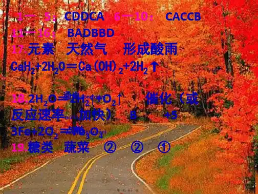 九年级化学模拟试题四课件