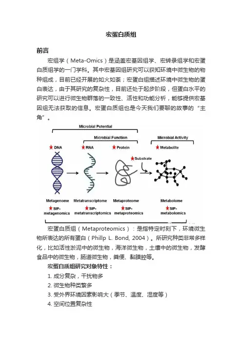 宏蛋白质组