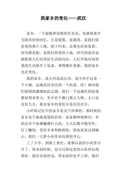 我家乡的变化——武汉