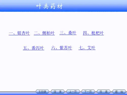 教案下篇5_叶类药材