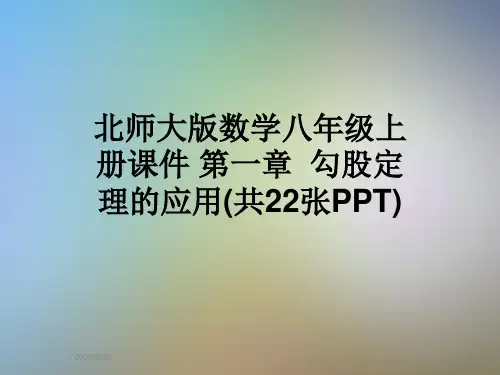 北师大版数学八年级上册课件 第一章  勾股定理的应用(共22张PPT)