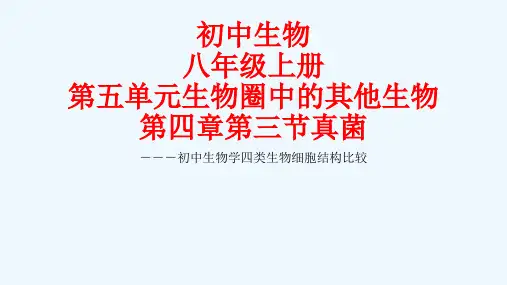 生物人教版八年级上册植物、动物、细菌和真菌细胞比较