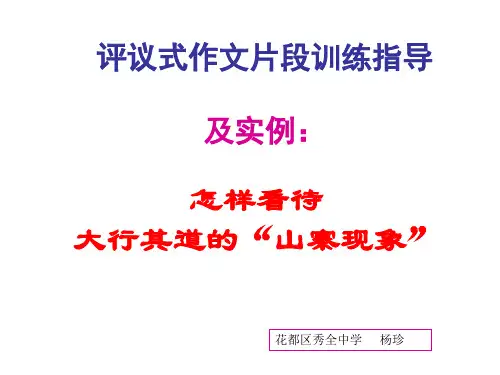 怎样看待大行其道的“山寨现象”