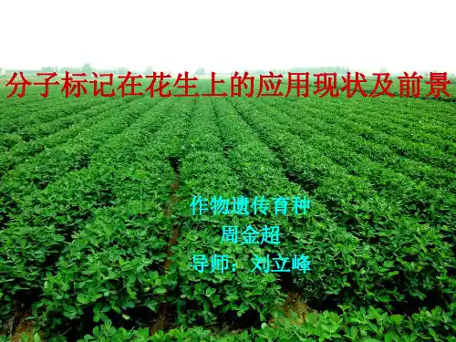 作物遗传育种书籍汇总