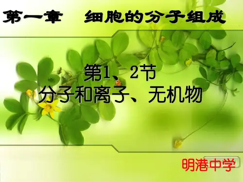分子和离子、无机物成品