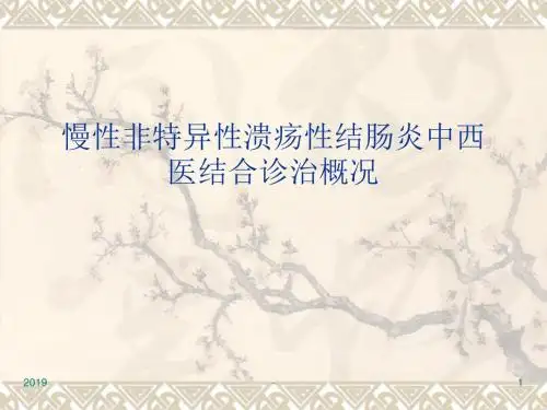 溃疡性结肠炎讲课ppt课件