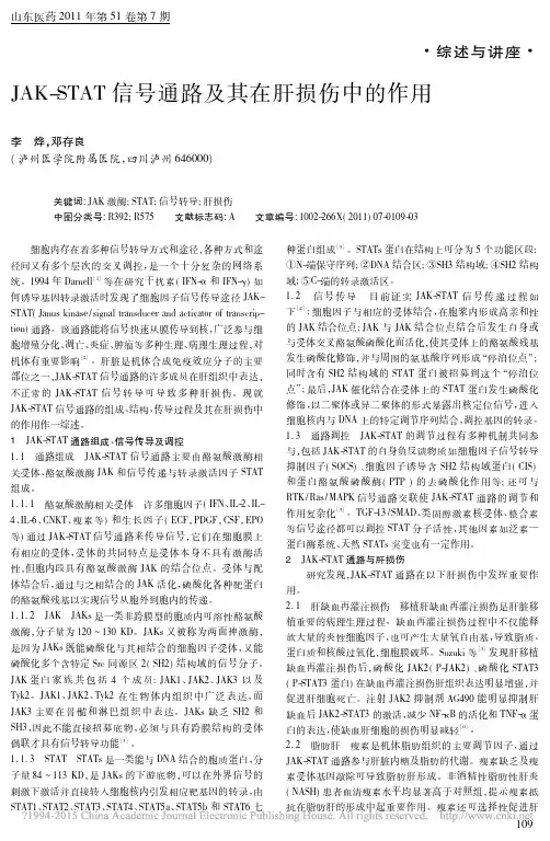 JAK_STAT信号通路及其在肝损伤中的作用