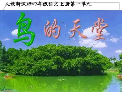 鸟的天堂