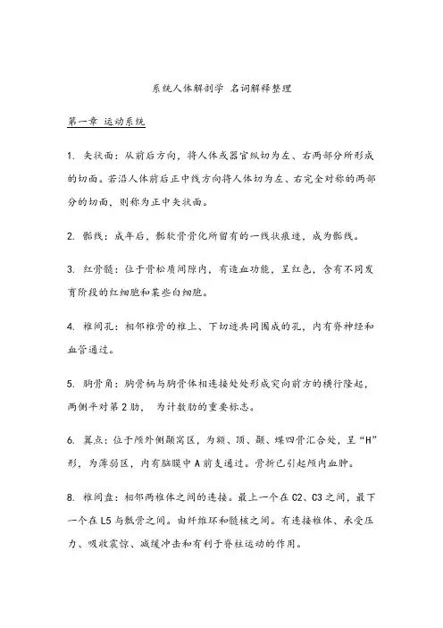(完整word版)人体解剖学名词解释