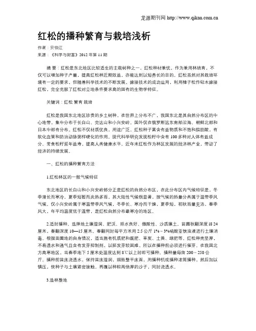 红松的播种繁育与栽培浅析