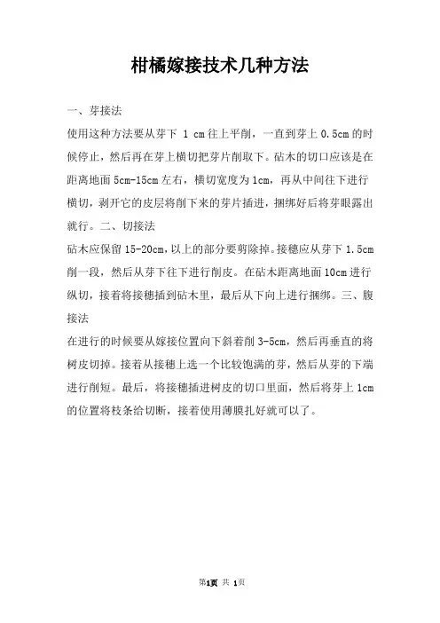 柑橘嫁接技术几种方法 