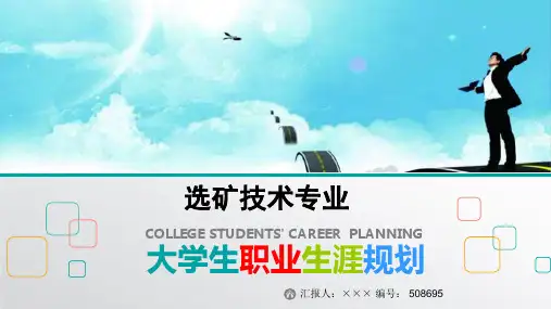 最新选矿技术专业大学生职业生涯规划比赛获奖答辩
