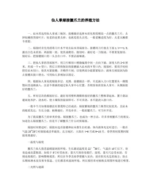 仙人掌嫁接蟹爪兰的养殖方法