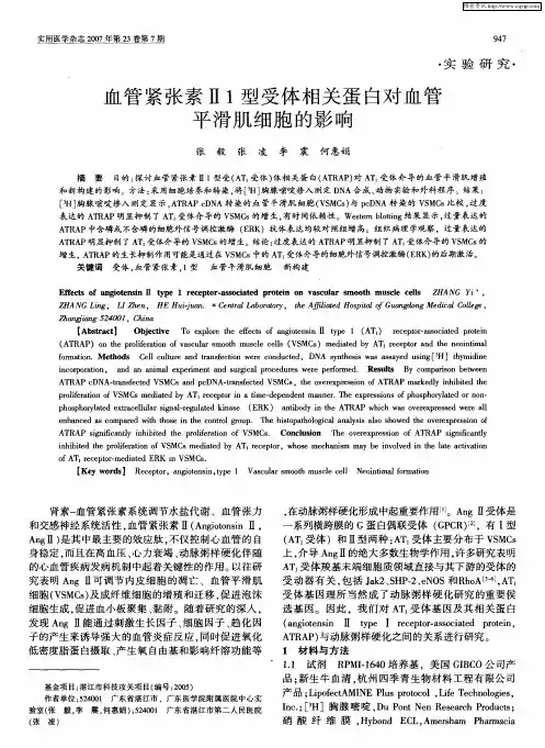 血管紧张素Ⅱ1型受体相关蛋白对血管平滑肌细胞的影响