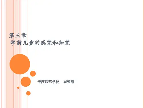 第三章 学前儿童的感觉和知觉