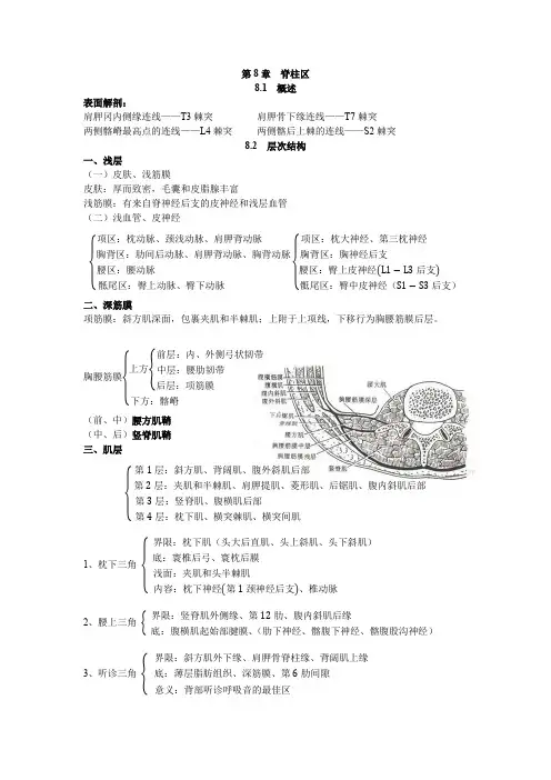 局部解剖学笔记08 脊柱区